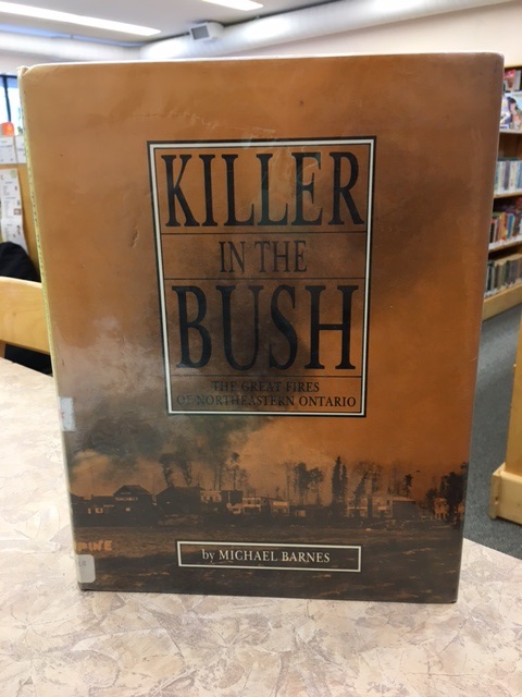 Killer in the Bush Book Cover